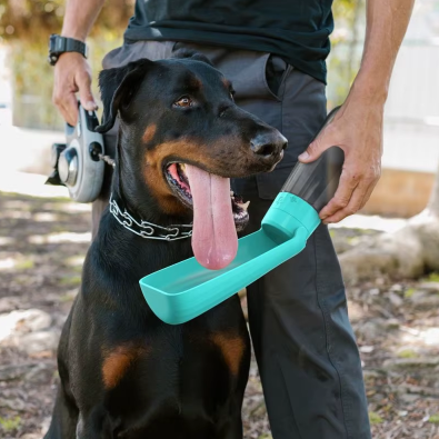 Gourde pour Chien – Hydratation facile, partout et à tout moment